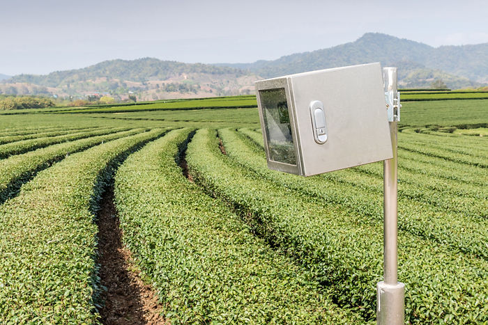 Agricultural Sensor Networks